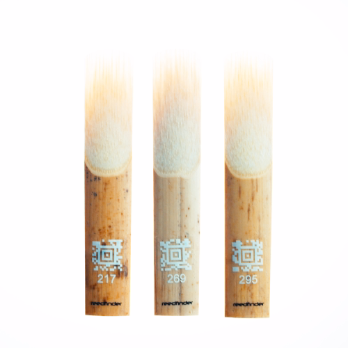img-slider